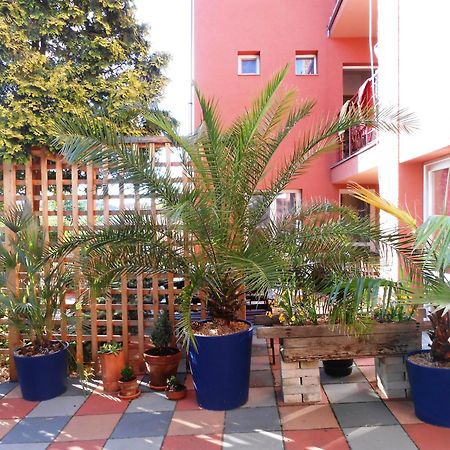 Penzion Vilka Podhajcanka Podhájska Exteriér fotografie